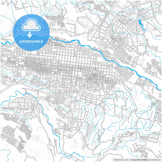 Pereira, Colombia, city map with high resolution roads.