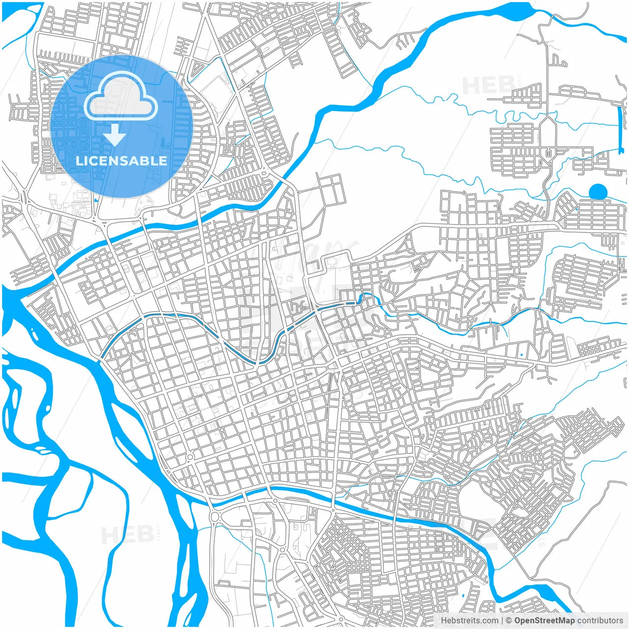 Neiva, Colombia, city map with high resolution roads.