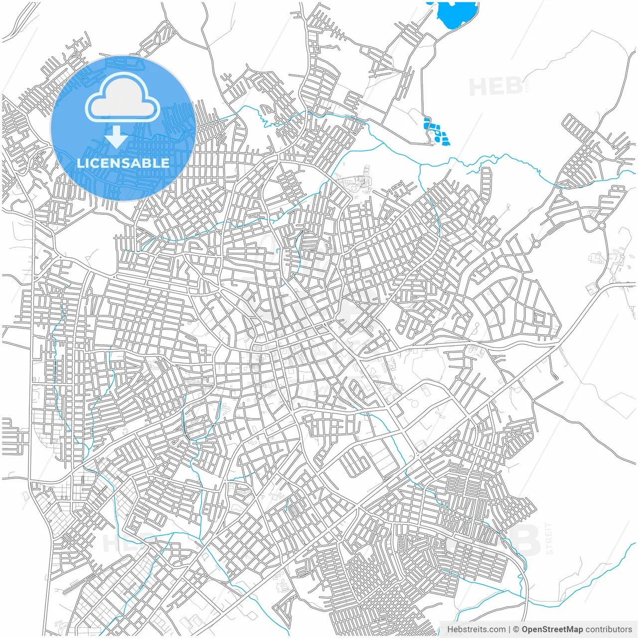 Sincelejo, Colombia, city map with high resolution roads.