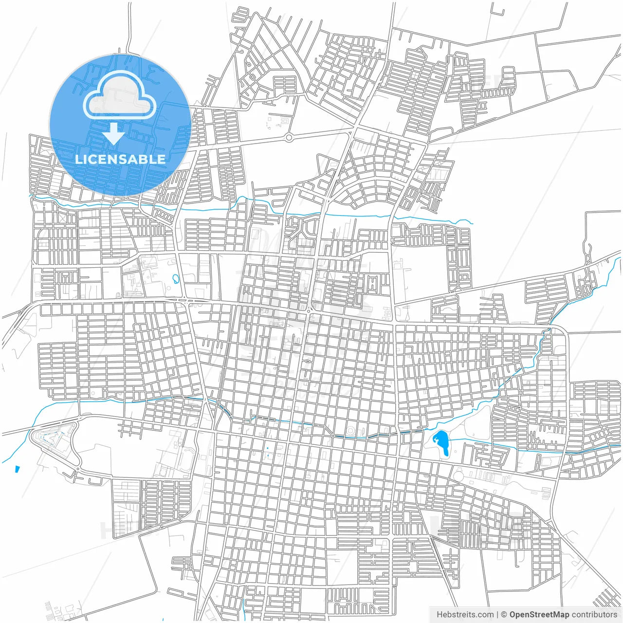 Palmira, Colombia, city map with high resolution roads.