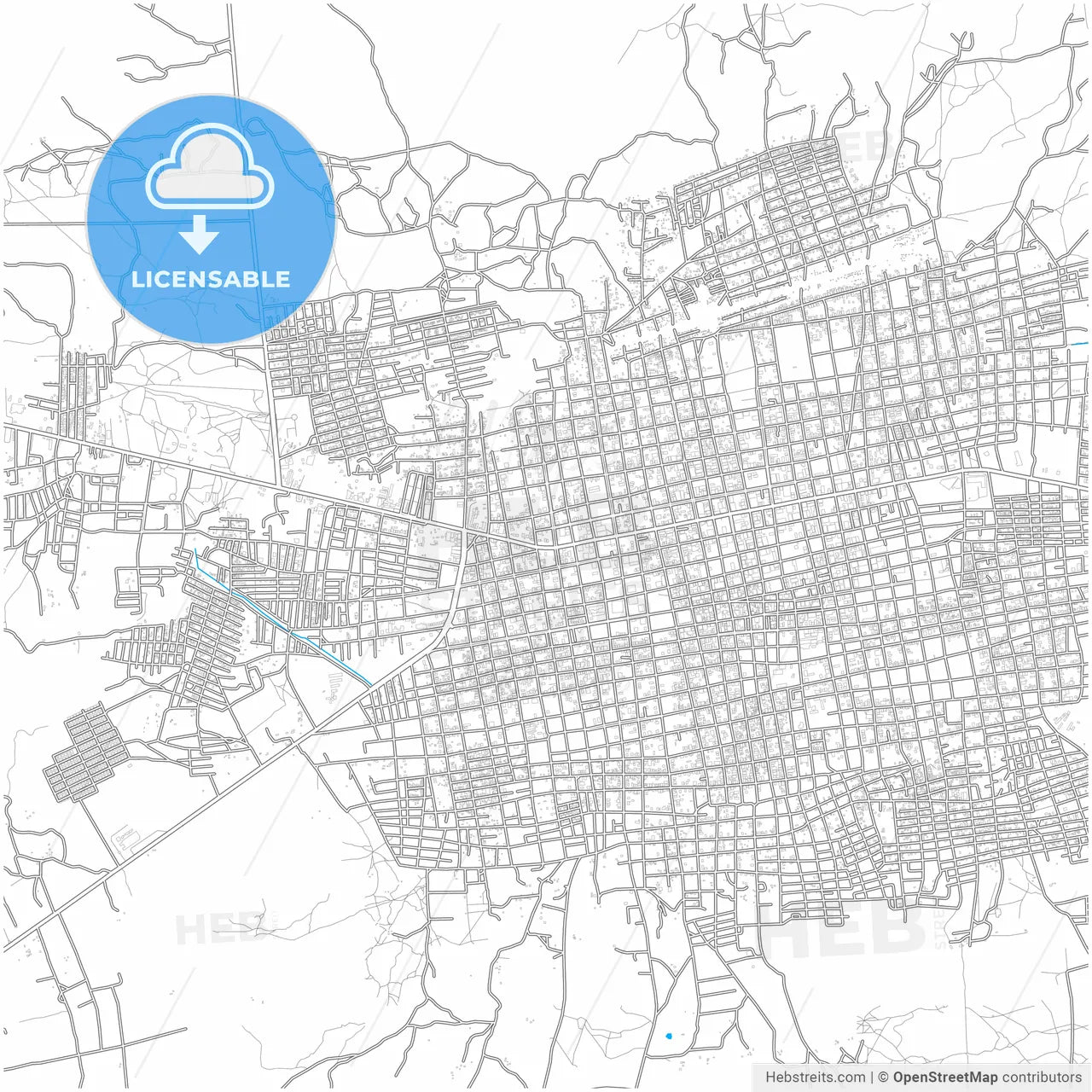 Maicao, Colombia, city map with high resolution roads.