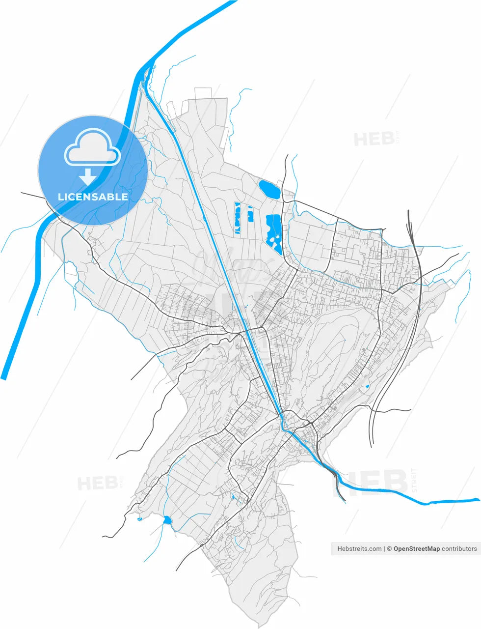 Feldkirch, Vorarlberg, Austria, high resolution vector map - Instant download PDF and JPG