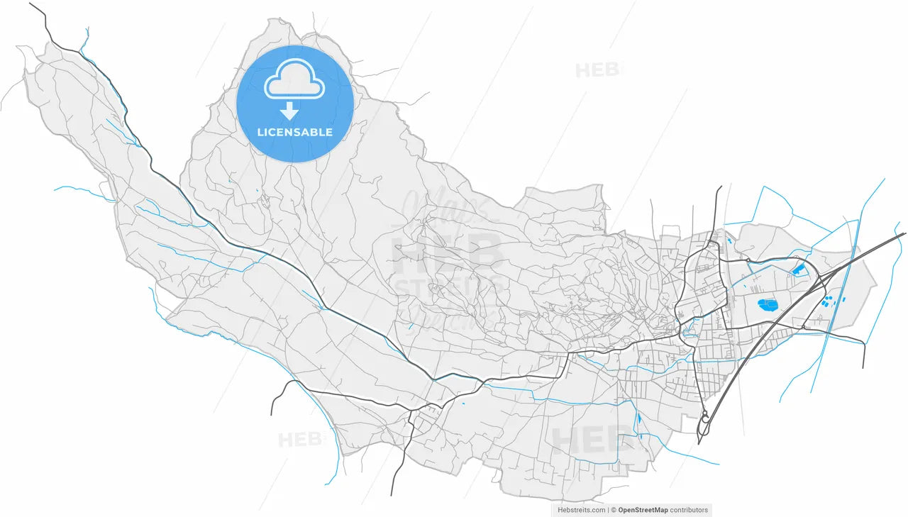 Bad Vöslau, Lower Austria, Austria, high resolution vector map - Instant download PDF and JPG