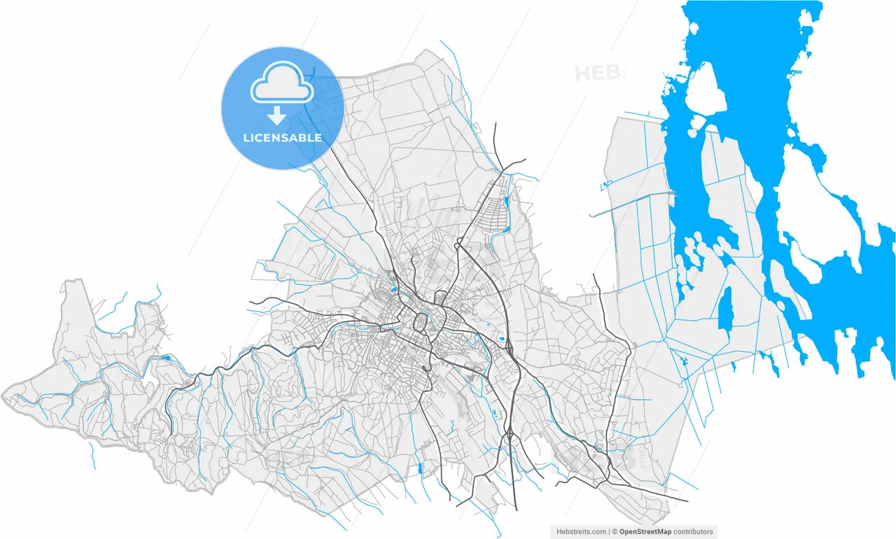 Sopron, Győr-Moson-Sopron, Hungary, high resolution vector map - Instant download PDF and JPG