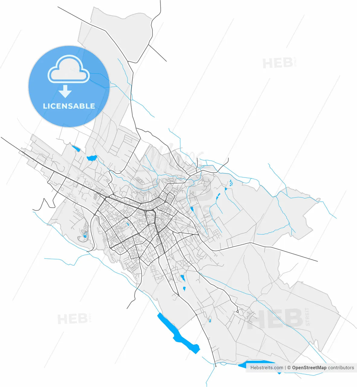 Botoșani, Botoșani, Romania, high resolution vector map - Instant download PDF and JPG