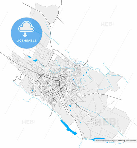 Botoșani, Botoșani, Romania, high resolution vector map - Instant download PDF and JPG