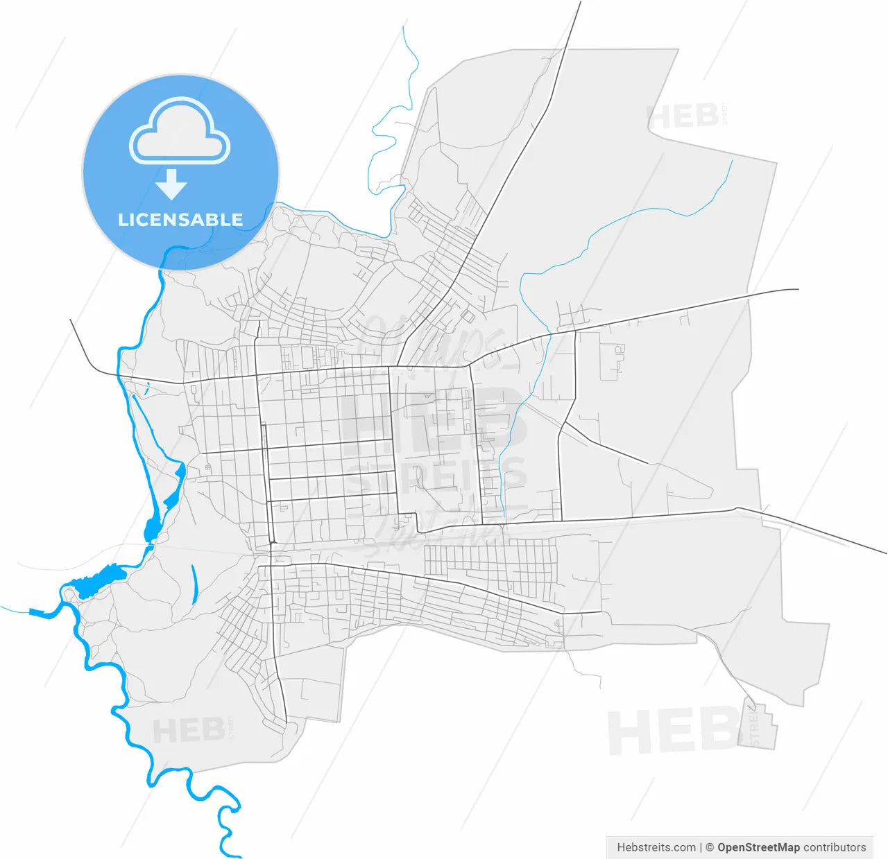Borisoglebsk, Voronezh Oblast, Russia, high resolution vector map - Instant download PDF and JPG