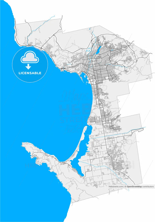 Ensenada, Baja California, Mexico, high resolution vector map - Instant download PDF and JPG