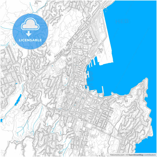 Wellington, New Zealand, city map with high resolution roads.