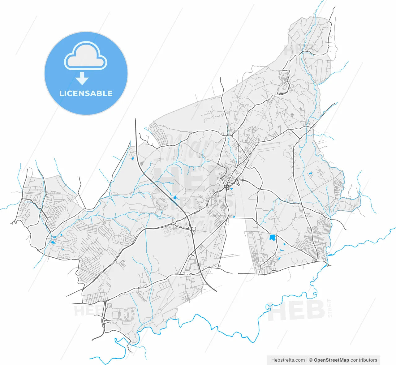 Guidonia Montecelio, Lazio, Italy, high resolution vector map - Instant download PDF and JPG