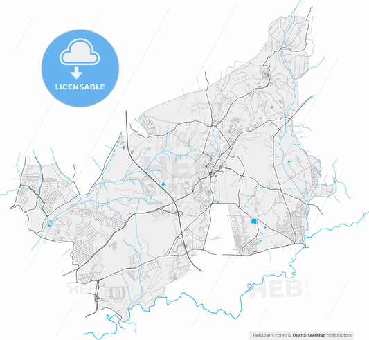 Guidonia Montecelio, Lazio, Italy, high resolution vector map - Instant download PDF and JPG