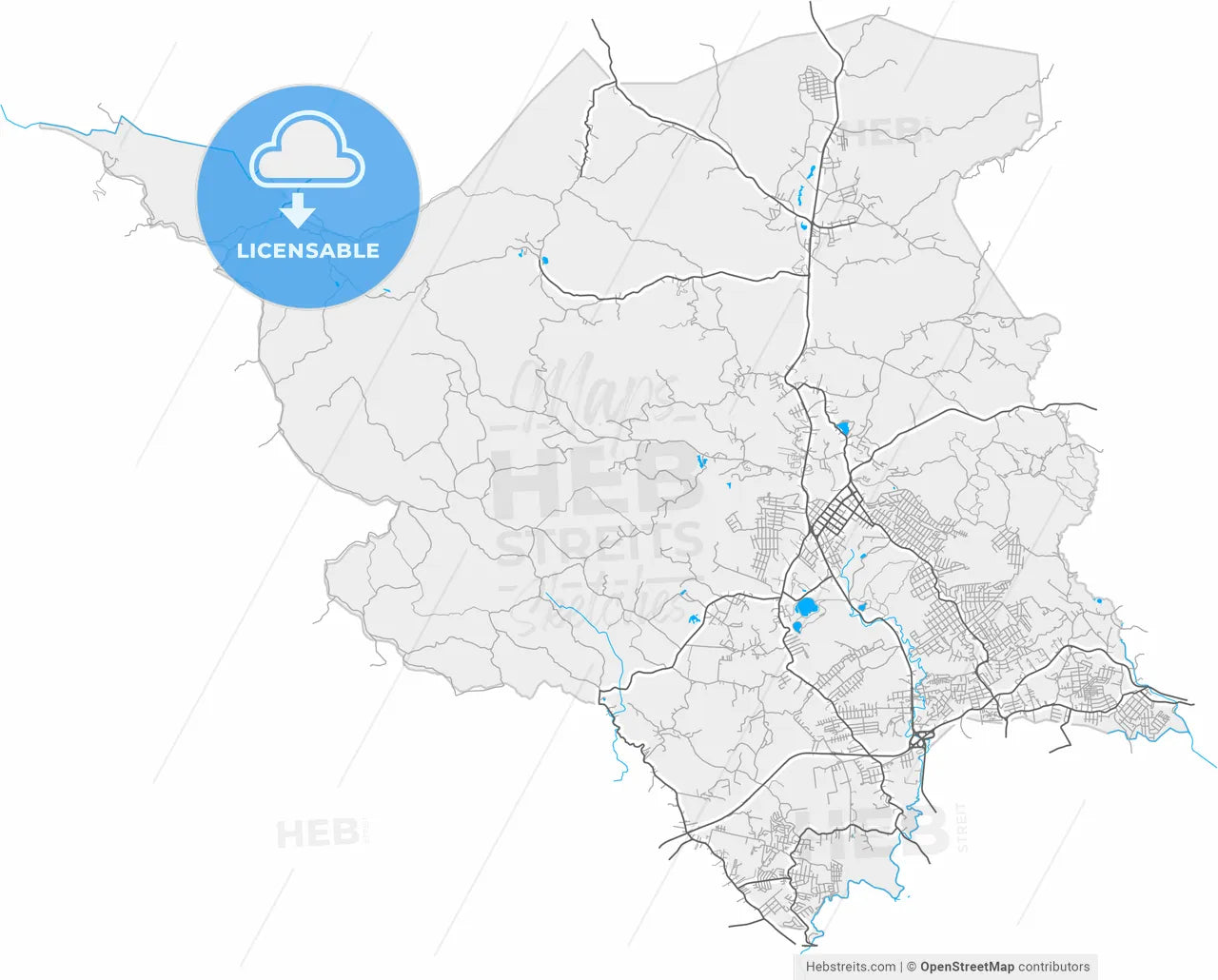 Almirante Tamandare, Brazil, high resolution vector map - Instant download PDF and JPG