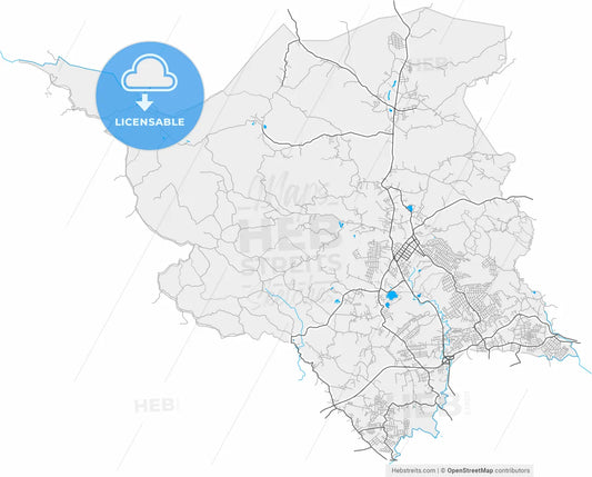 Almirante Tamandare, Brazil, high resolution vector map - Instant download PDF and JPG