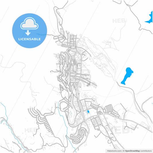 Bor, Bor, Serbia, city map with high resolution roads.