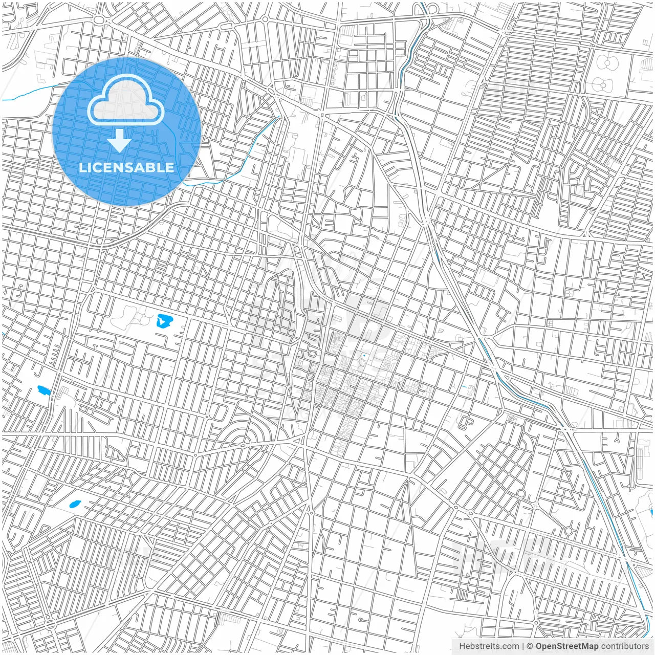 León, Guanajuato, Mexico, city map with high resolution roads.
