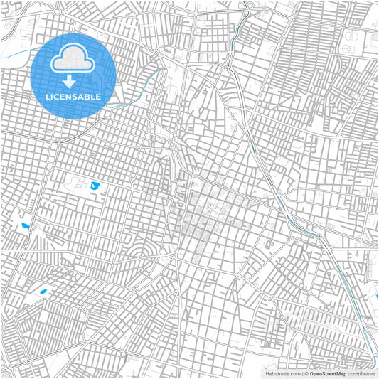 León, Guanajuato, Mexico, city map with high resolution roads.
