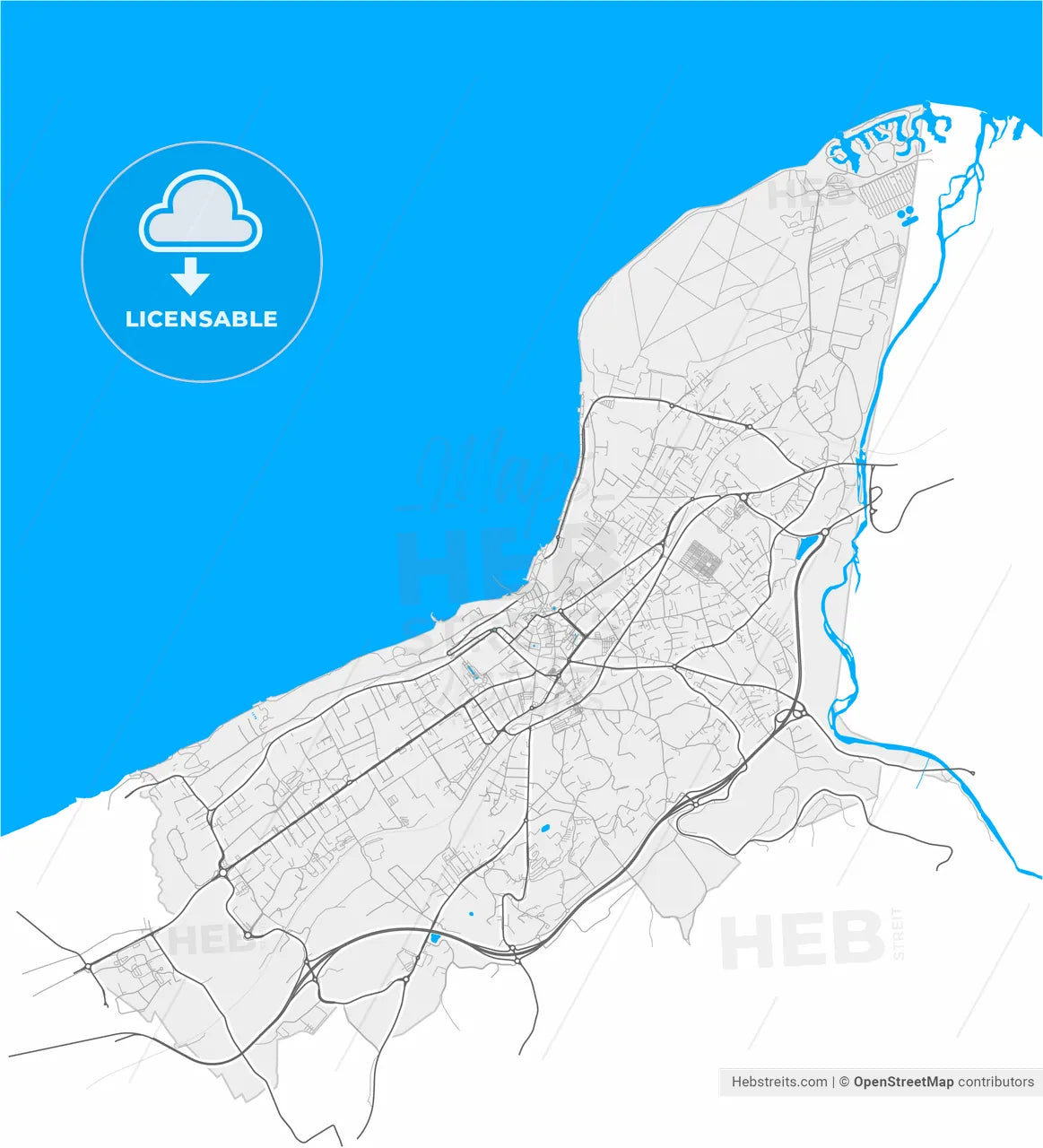 Thonon-les-Bains, Haute-Savoie, France, high resolution vector map - Instant download PDF and JPG