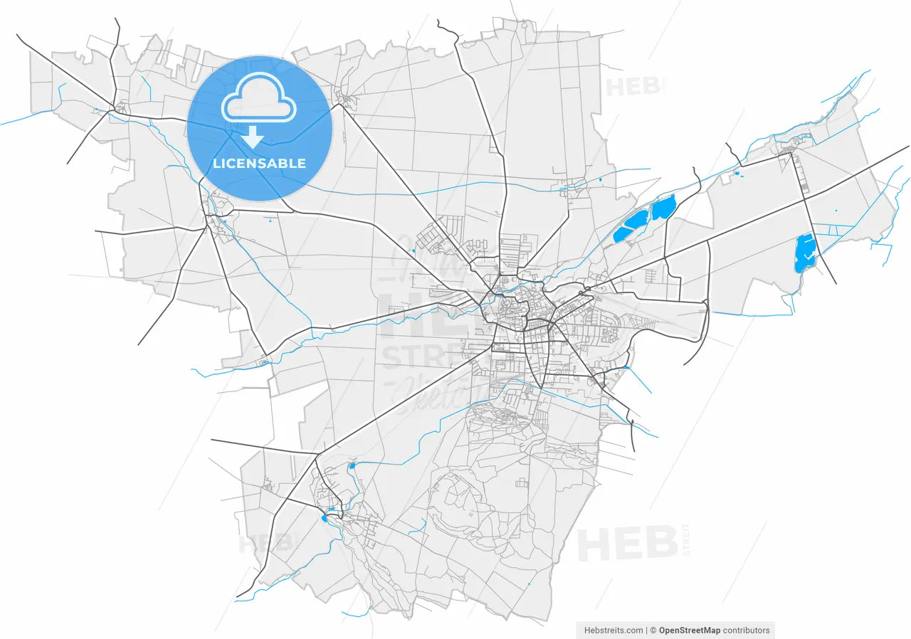 Halberstadt, Saxony-Anhalt, Germany, high resolution vector map - Instant download PDF and JPG