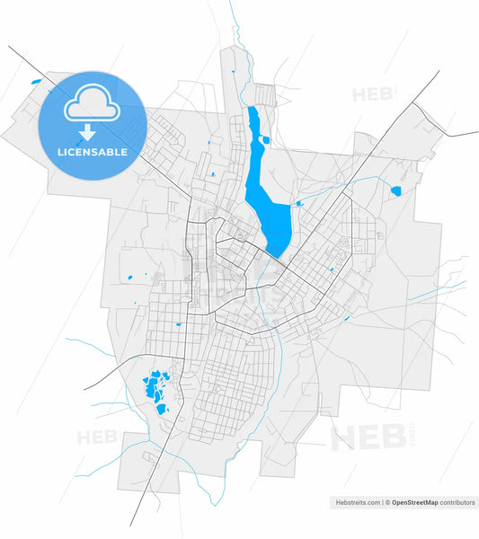 Gus-Khrustalny, Vladimir Oblast, Russia, high resolution vector map - Instant download PDF and JPG