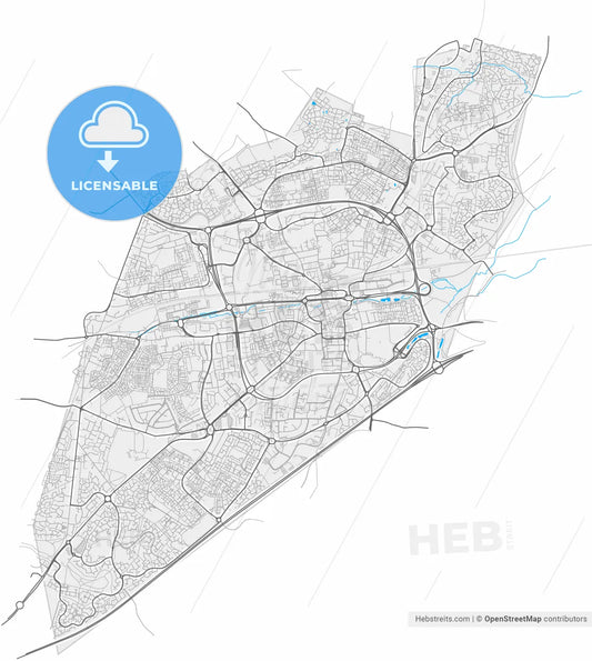 Basingstoke, South East England, England, high resolution vector map - Instant download PDF and JPG