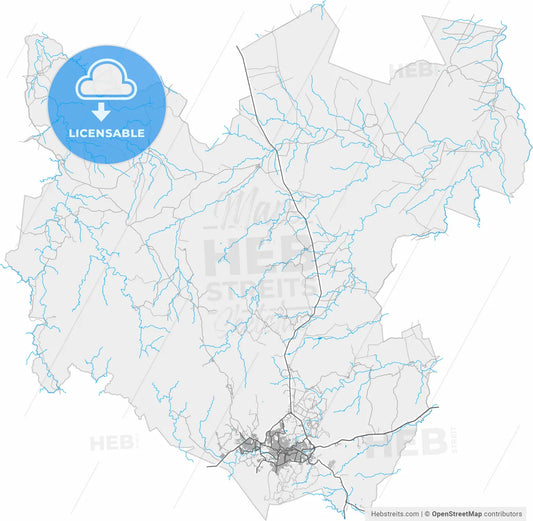 Hidalgo del Parral, Chihuahua, Mexico, high resolution vector map - Instant download PDF and JPG