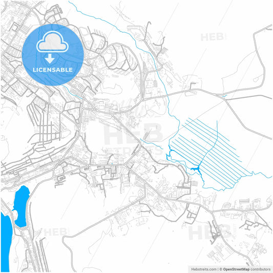 Petropavlovsk-Kamchatsky, Kamchatka Krai, Russia, city map with high resolution roads.
