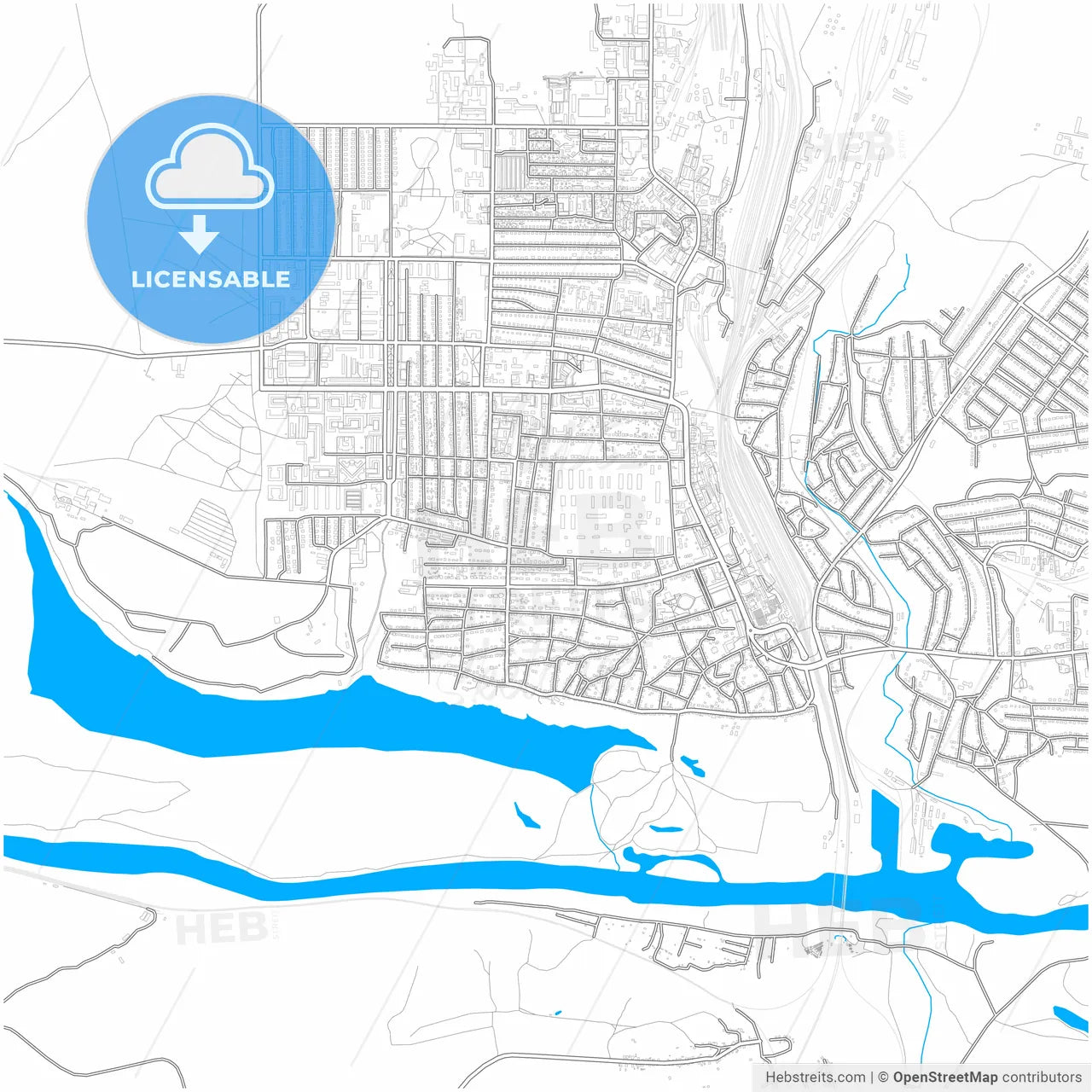 Liski, Voronezh Oblast, Russia, city map with high resolution roads.