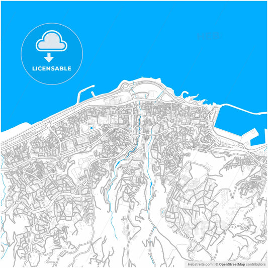 Trabzon, Trabzon, Turkey, city map with high resolution roads.