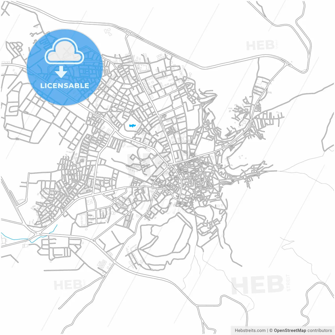 Siirt, Siirt, Turkey, city map with high resolution roads.