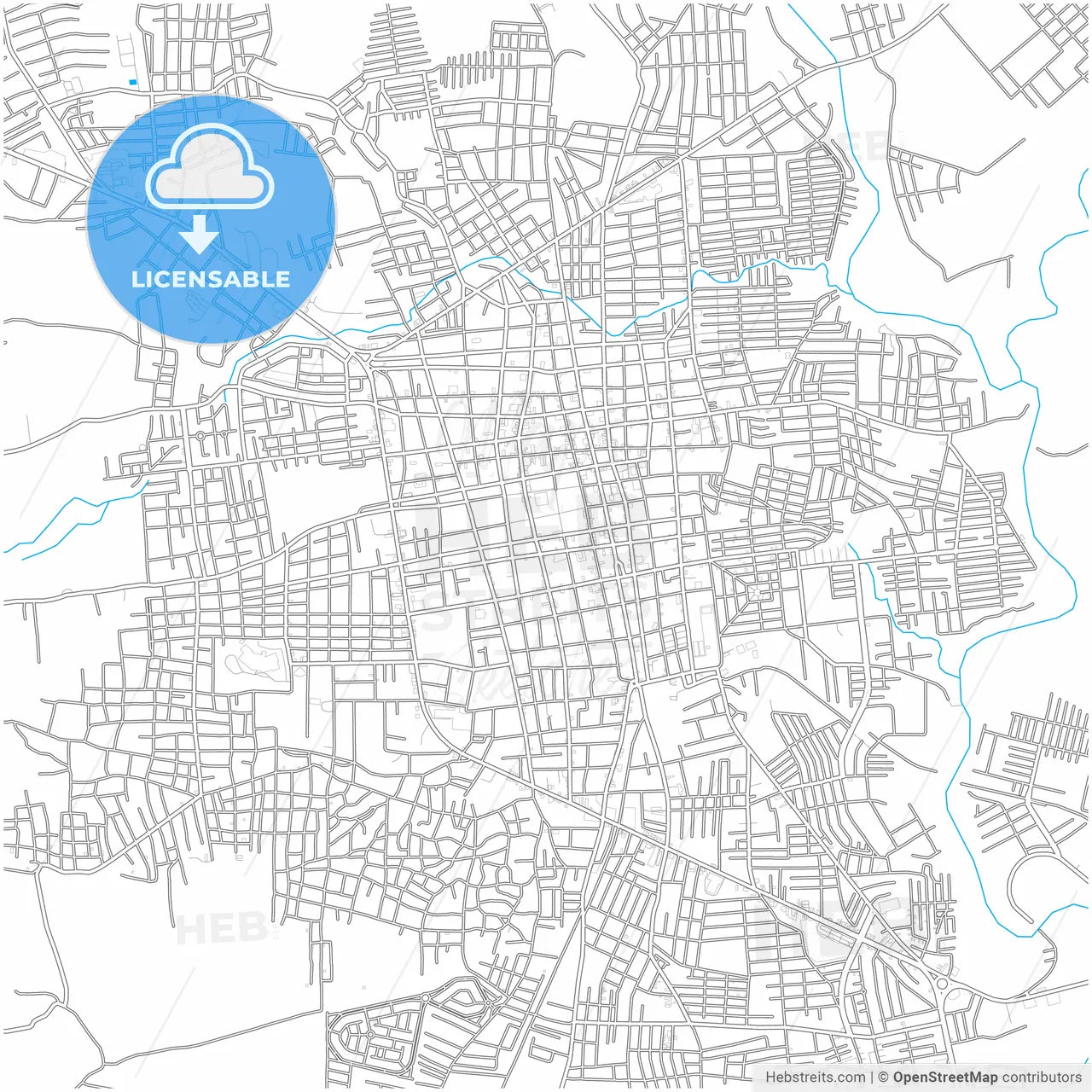 San Miguel, San Miguel, El Salvador, city map with high resolution roads.