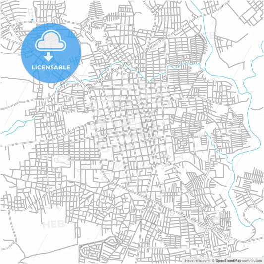 San Miguel, San Miguel, El Salvador, city map with high resolution roads.