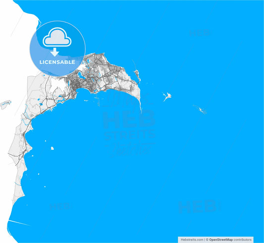 Baku, Azerbaijan, high resolution vector map - Instant download PDF and JPG