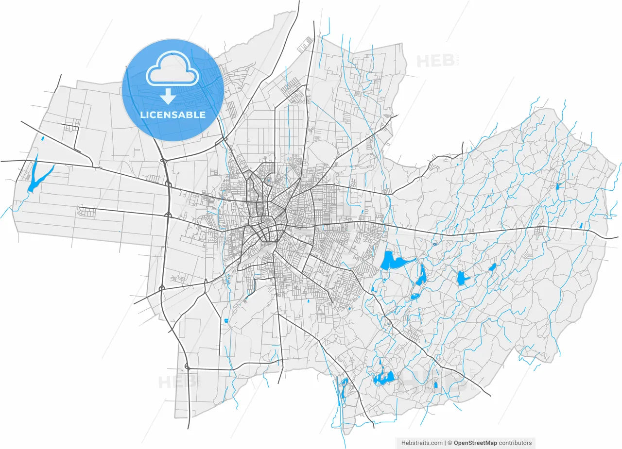 Debrecen, Hajdú-Bihar, Hungary, high resolution vector map - Instant download PDF and JPG