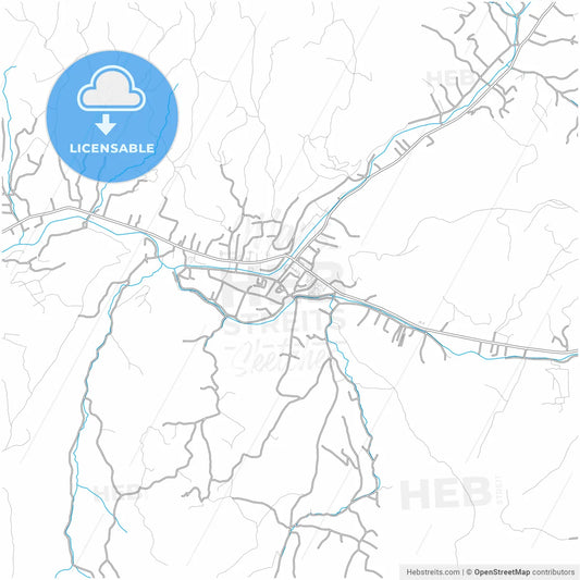 Borșa, Maramureș, Romania, city map with high resolution roads.