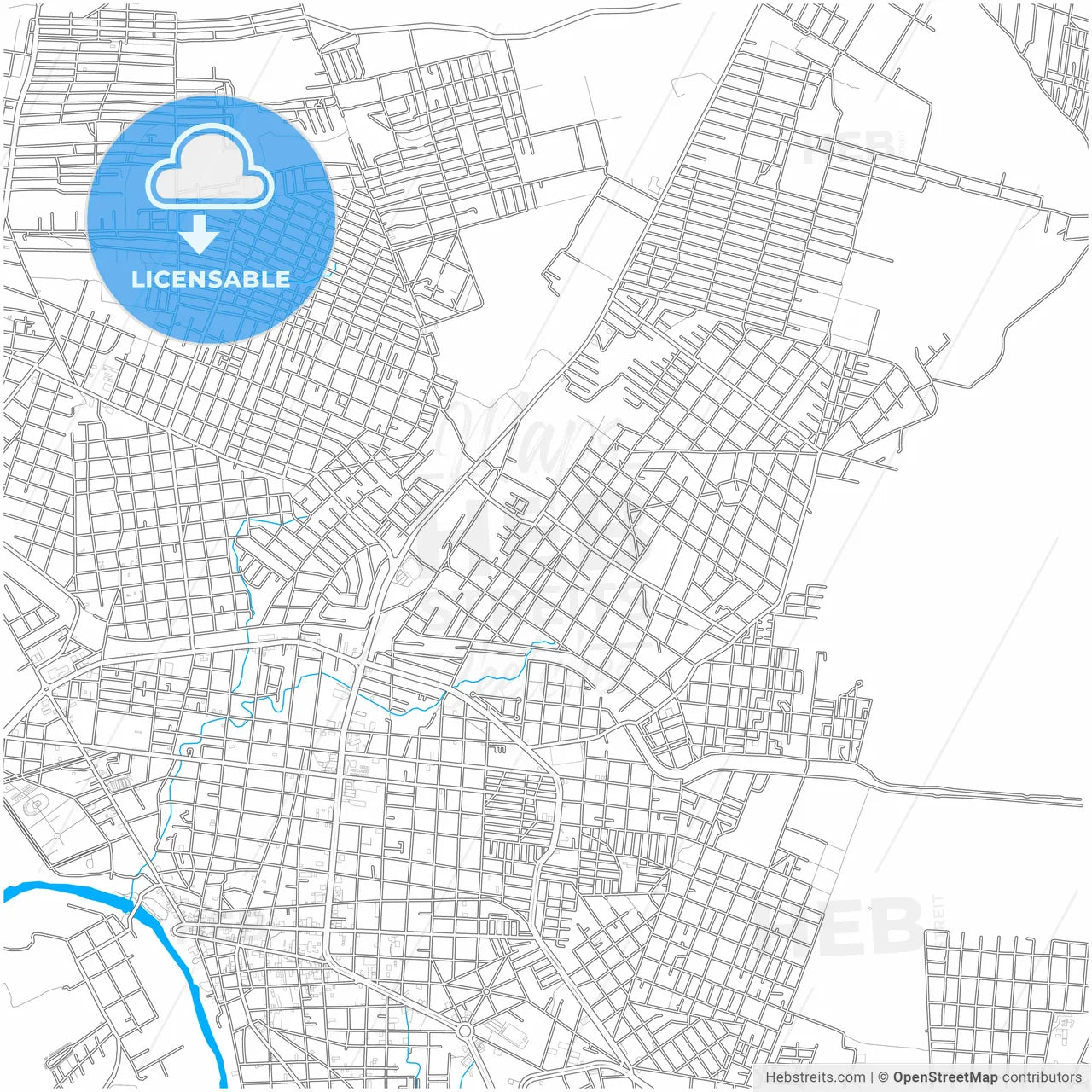 Ciudad Valles, San Luis Potosí, Mexico, city map with high resolution roads.