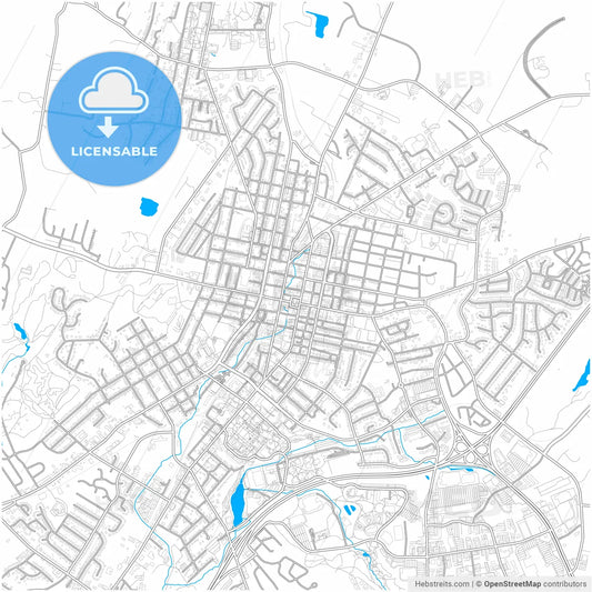 Harrisonburg, Virginia, United States, city map with high resolution roads.