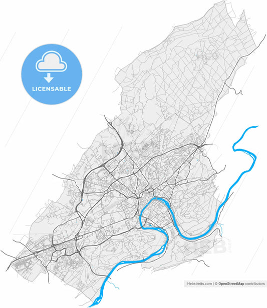 Besançon, Doubs, France, high resolution vector map - Instant download PDF and JPG