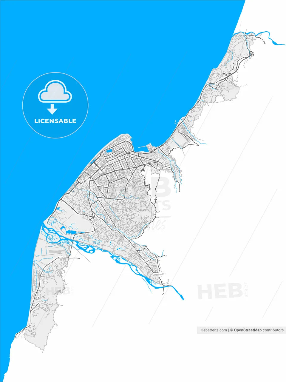 Batumi, Adjara, Georgia, high resolution vector map - Instant download PDF and JPG