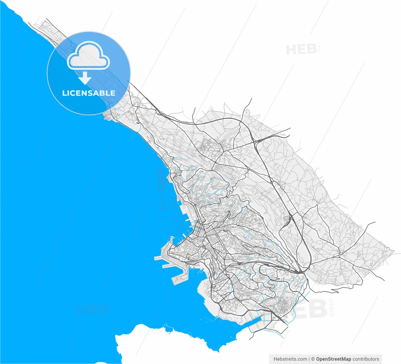 Trieste, Friuli-Venezia Giulia, Italy, high resolution vector map - Instant download PDF and JPG
