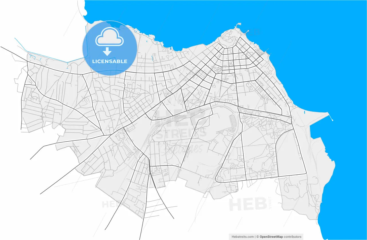 Bilhorod-Dnistrovskyi, Odessa Oblast, Ukraine, high resolution vector map - Instant download PDF and JPG