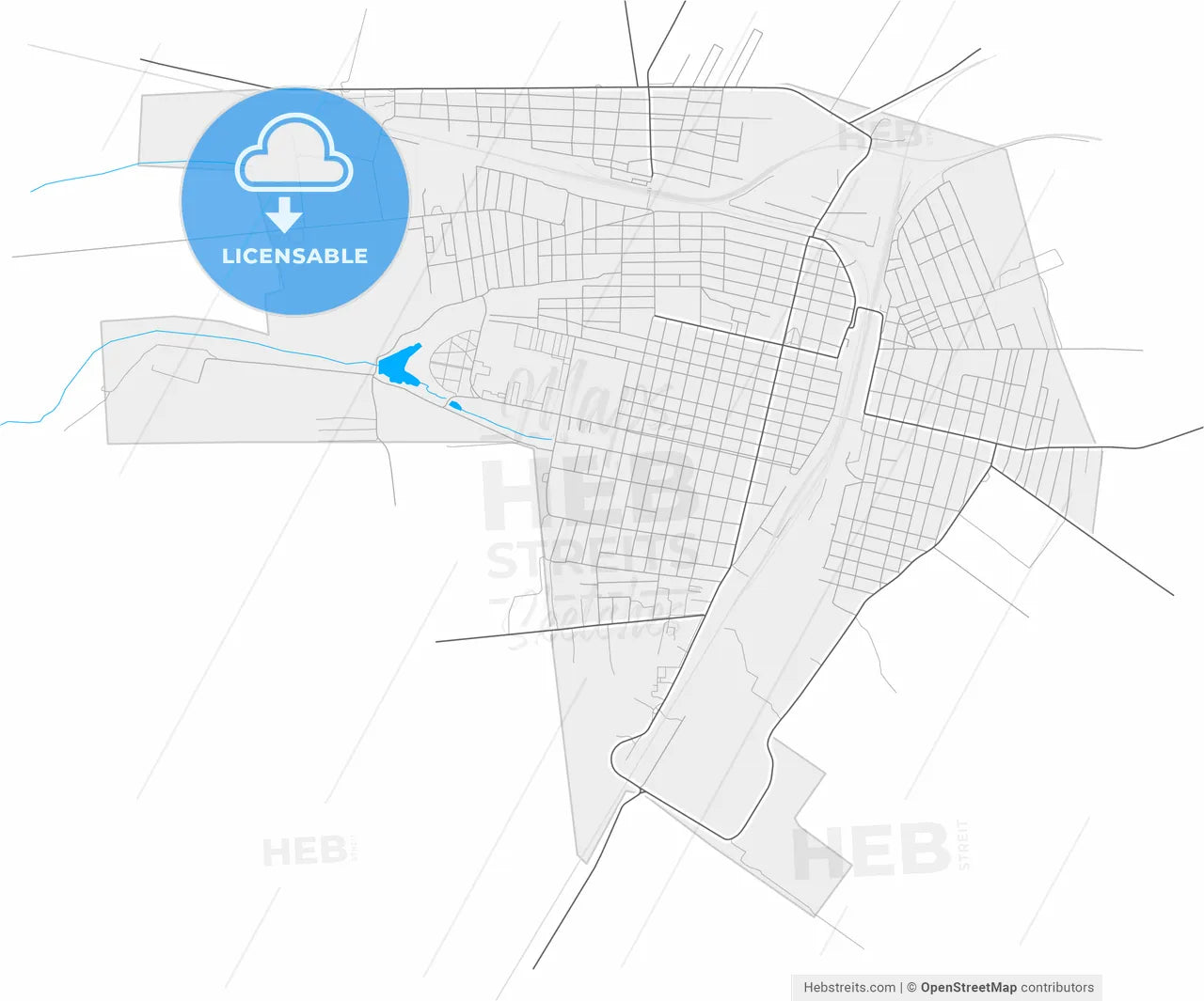 Synelnykove, Dnipropetrovsk Oblast, Ukraine, high resolution vector map - Instant download PDF and JPG