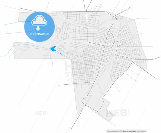 Synelnykove, Dnipropetrovsk Oblast, Ukraine, high resolution vector map - Instant download PDF and JPG