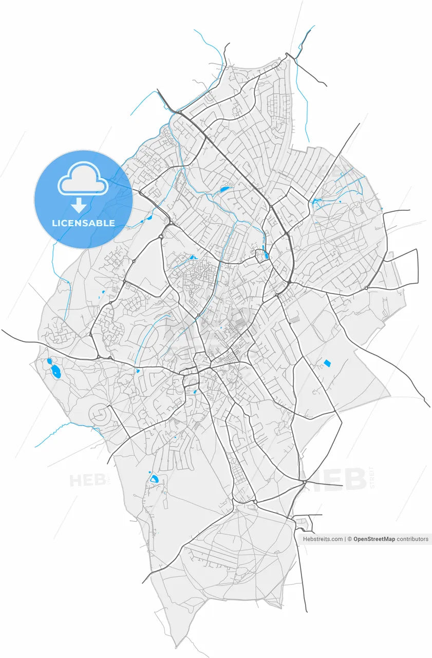 Epsom and Ewell, South East England, England, high resolution vector map - Instant download PDF and JPG