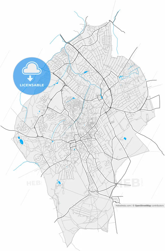 Epsom and Ewell, South East England, England, high resolution vector map - Instant download PDF and JPG