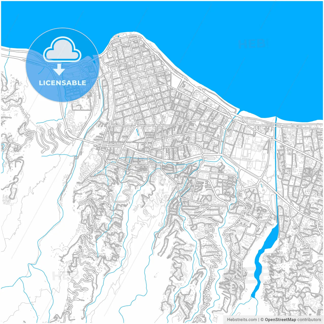Saint-Denis, Réunion, France, city map with high resolution roads.