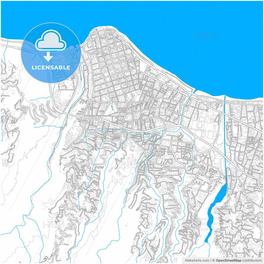 Saint-Denis, Réunion, France, city map with high resolution roads.