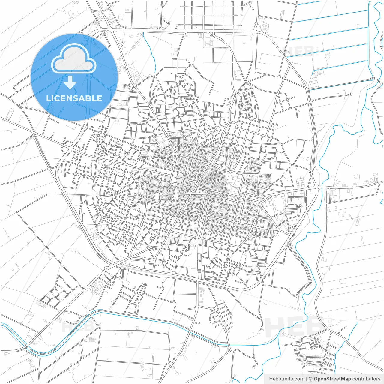 Karditsa, Thessaly, Greece, city map with high resolution roads.