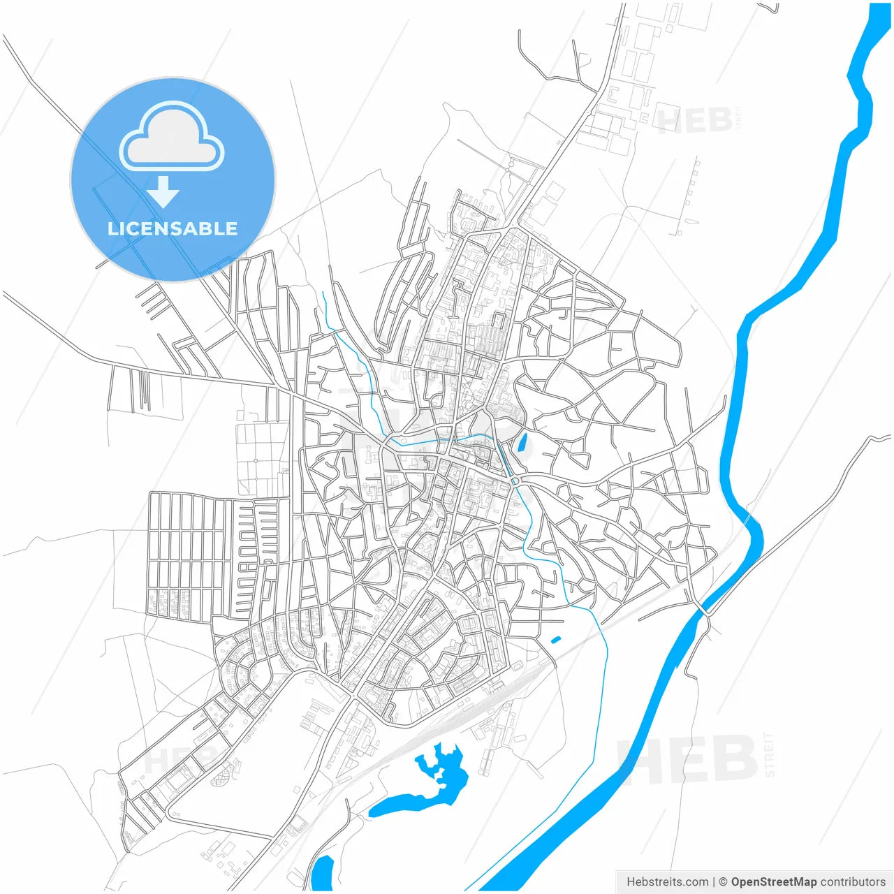 Bârlad, Vaslui, Romania, city map with high resolution roads.