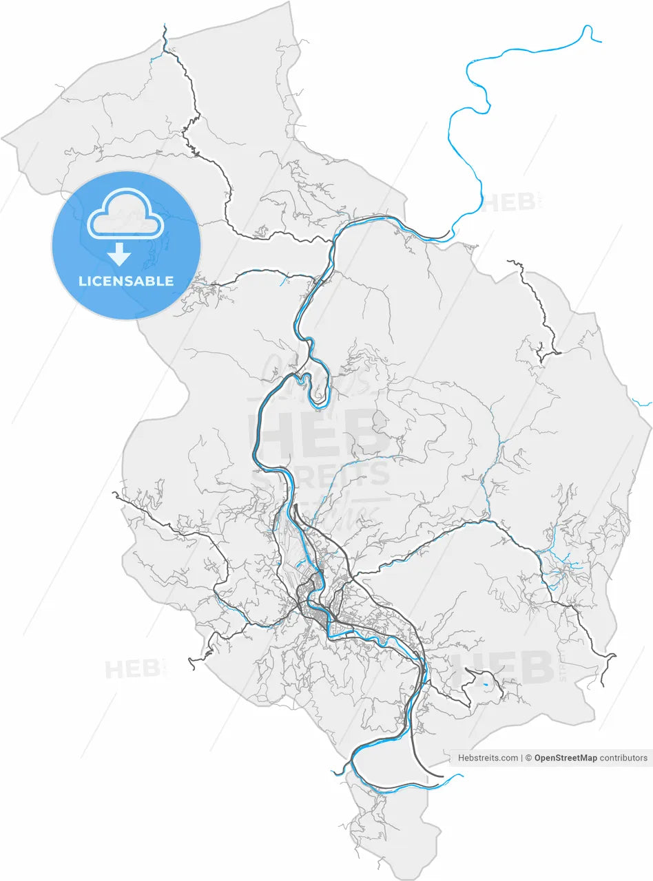 Zenica, Zenica-Doboj Canton, Bosnia and Herzegovina, high resolution vector map - Instant download PDF and JPG