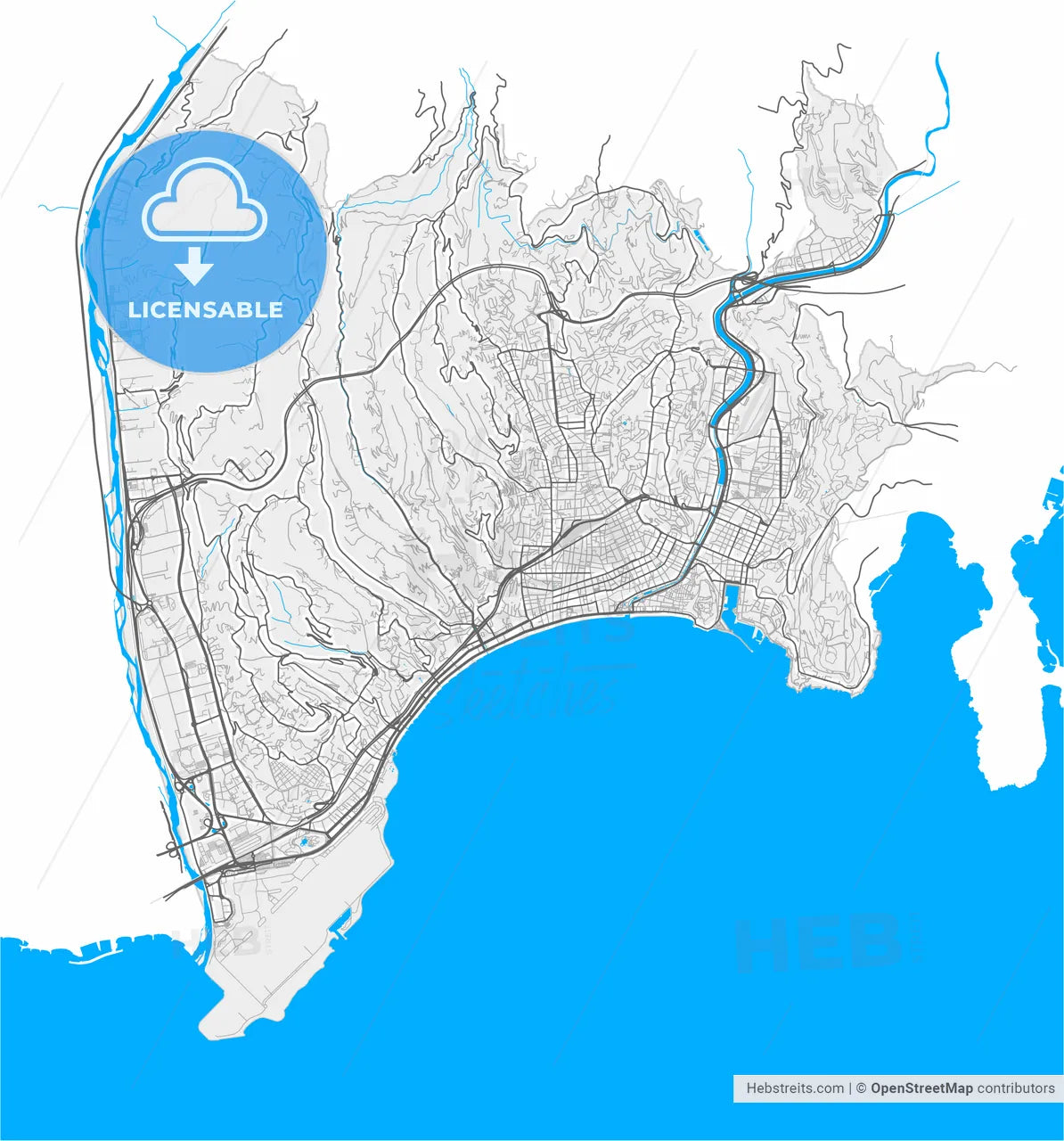 Nice, Alpes-Maritimes, France, high resolution vector map - Instant download PDF and JPG
